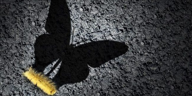 iStock-1038975072-774×387