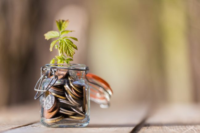 Coins in glass jar on wooden table with growing plant