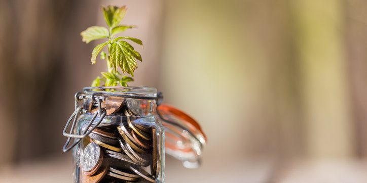 Coins in glass jar on wooden table with growing plant