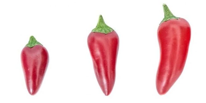 turn-up-the-heat-668×334